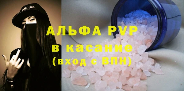 мяу мяу мука Абаза