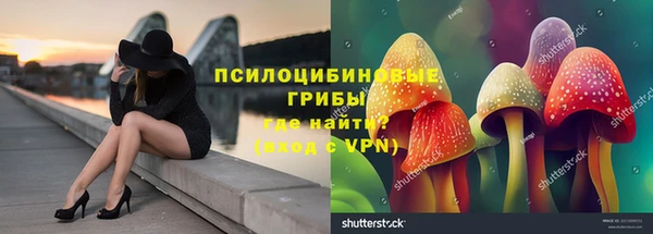 мяу мяу мука Абаза