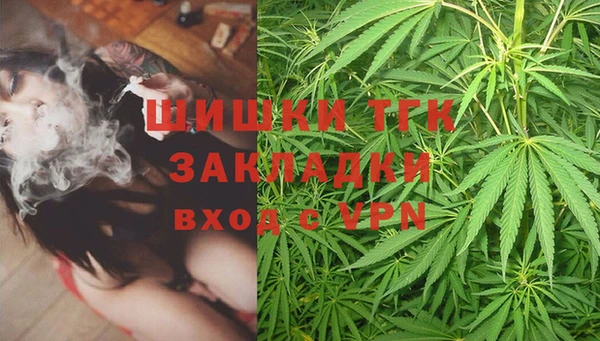 мяу мяу мука Абаза