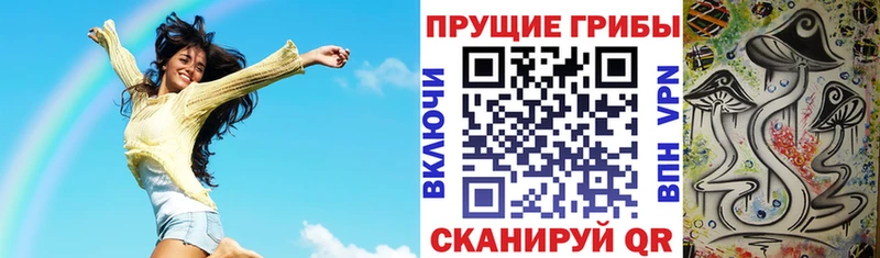 Галлюциногенные грибы Cubensis  Переславль-Залесский 