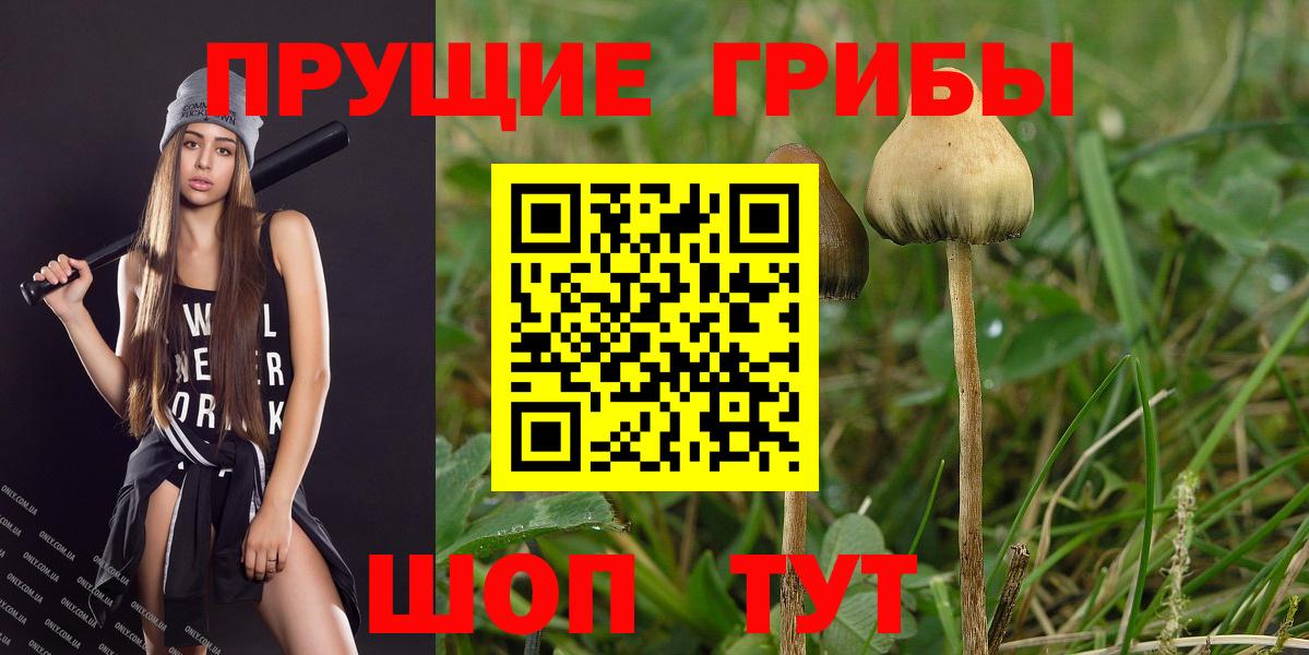 Псилоцибиновые грибы Psilocybine cubensis  Вход с VPN  Переславль-Залесский  Галлюциногенные грибы прущие грибы 